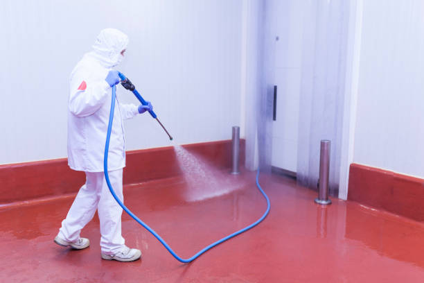 Best Gas Station Cleaning  in Thoreau, NM